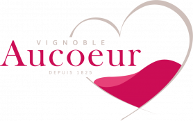 Logo Vignoble Arnaud Aucoeur & Fils